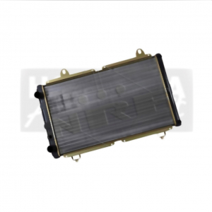 Ducato Radiateur Links