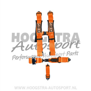 Nascar Ratelgordel STR 5 punt